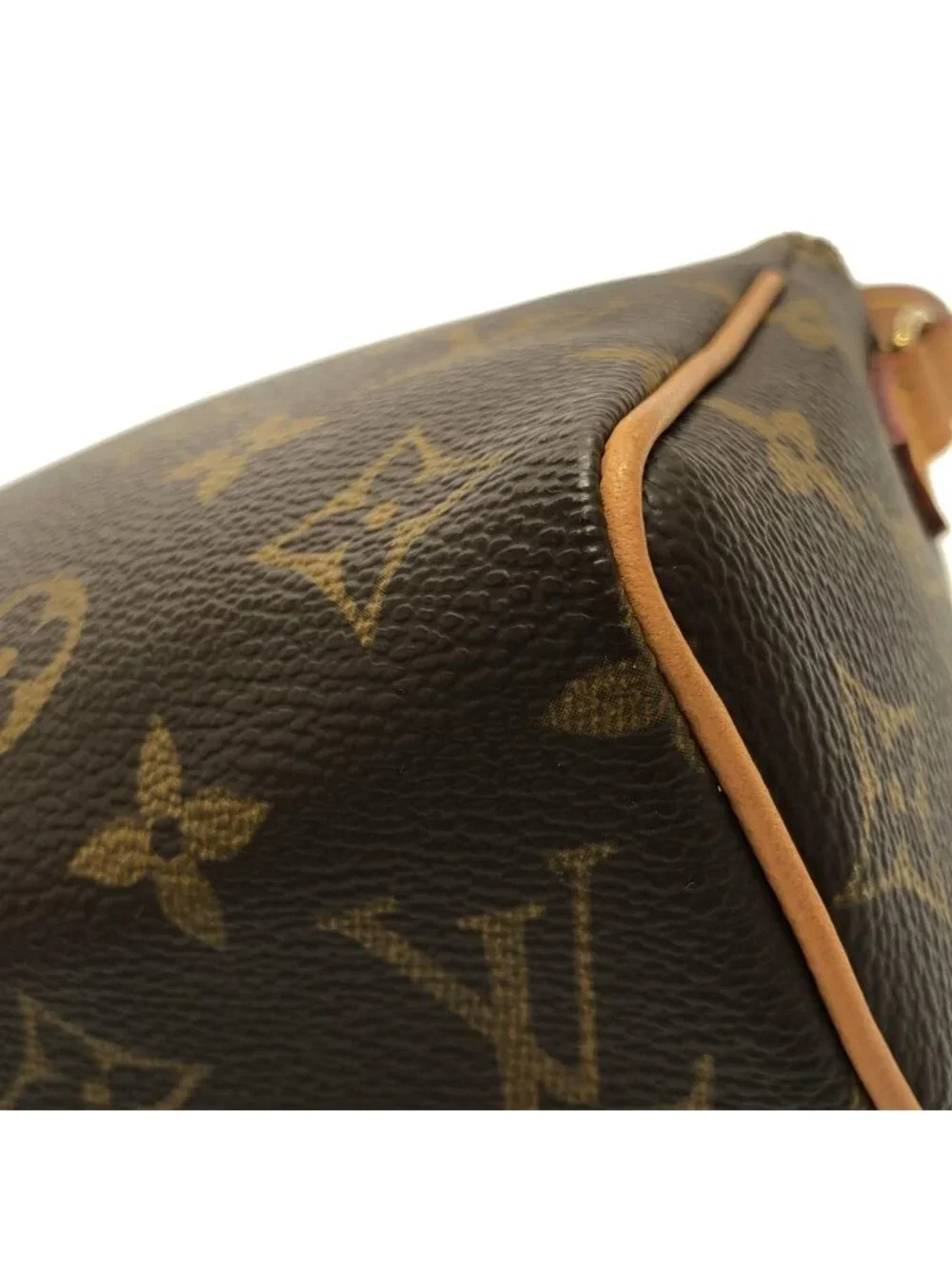Louis Vuitton Monogram Recital Bag